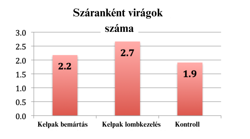 Kelpak graph 1