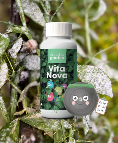 VitaNova a mikroelemekért