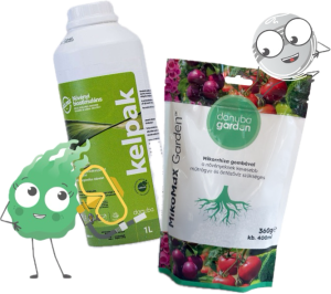 Gyökeresítő csomag