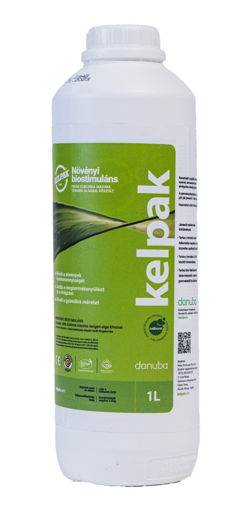 Kelpak
