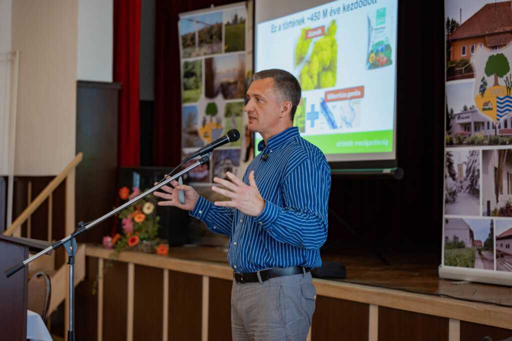 István Zajácz, Danuba Kft.