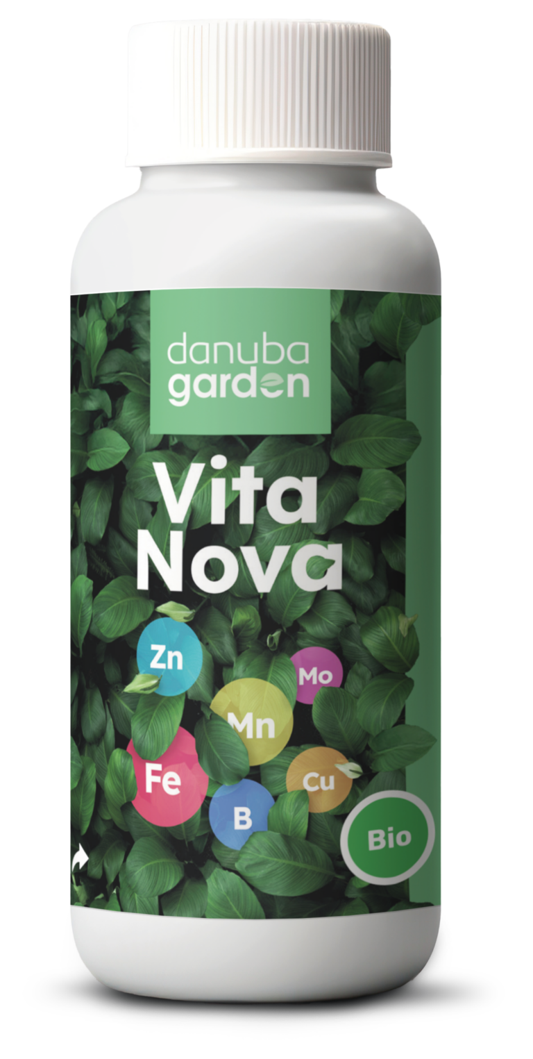 VitaNova 2dl
