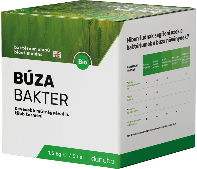 Búza Bakter