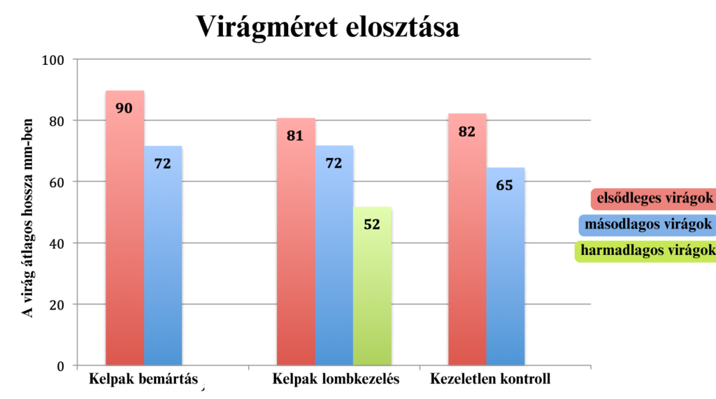 Kelpak graph