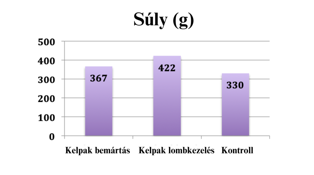 Kelpak graph