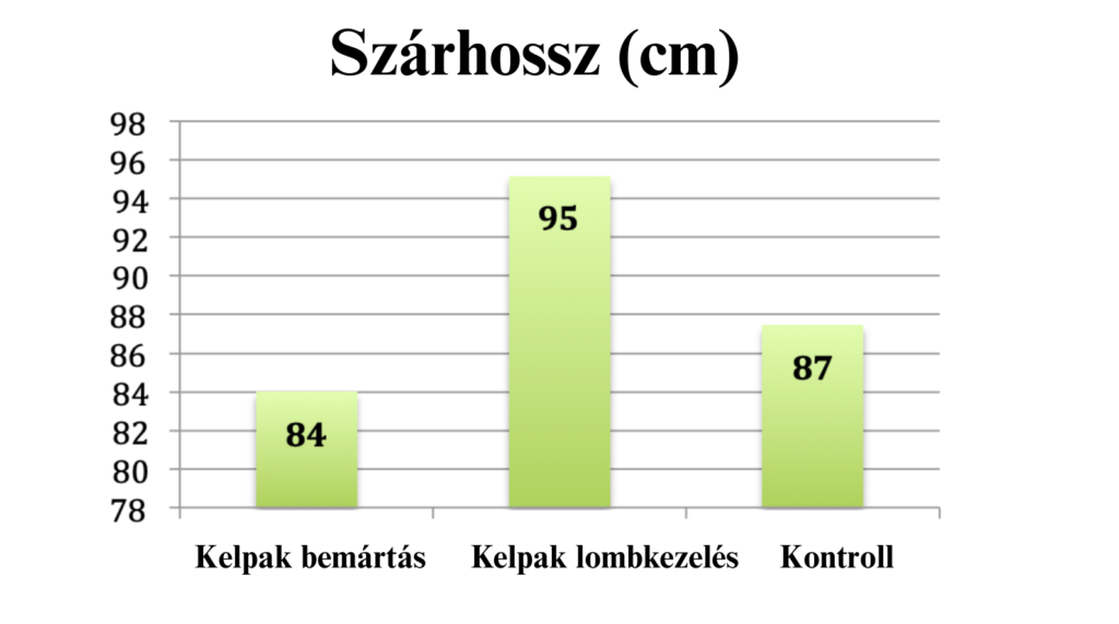 Kelpak graph