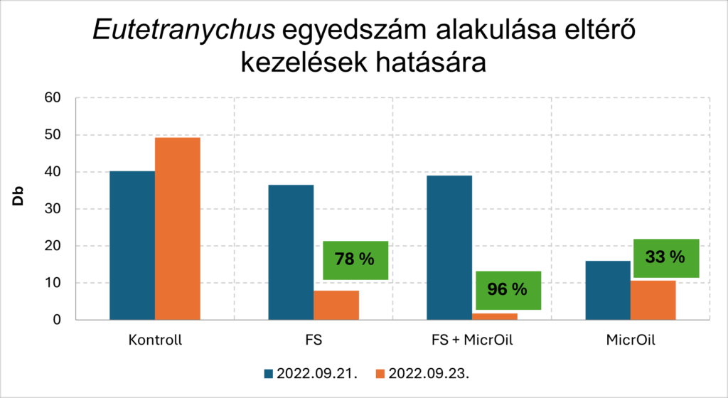 Eutetranychus egyedszám alakulása eltérő kezelések hatására
