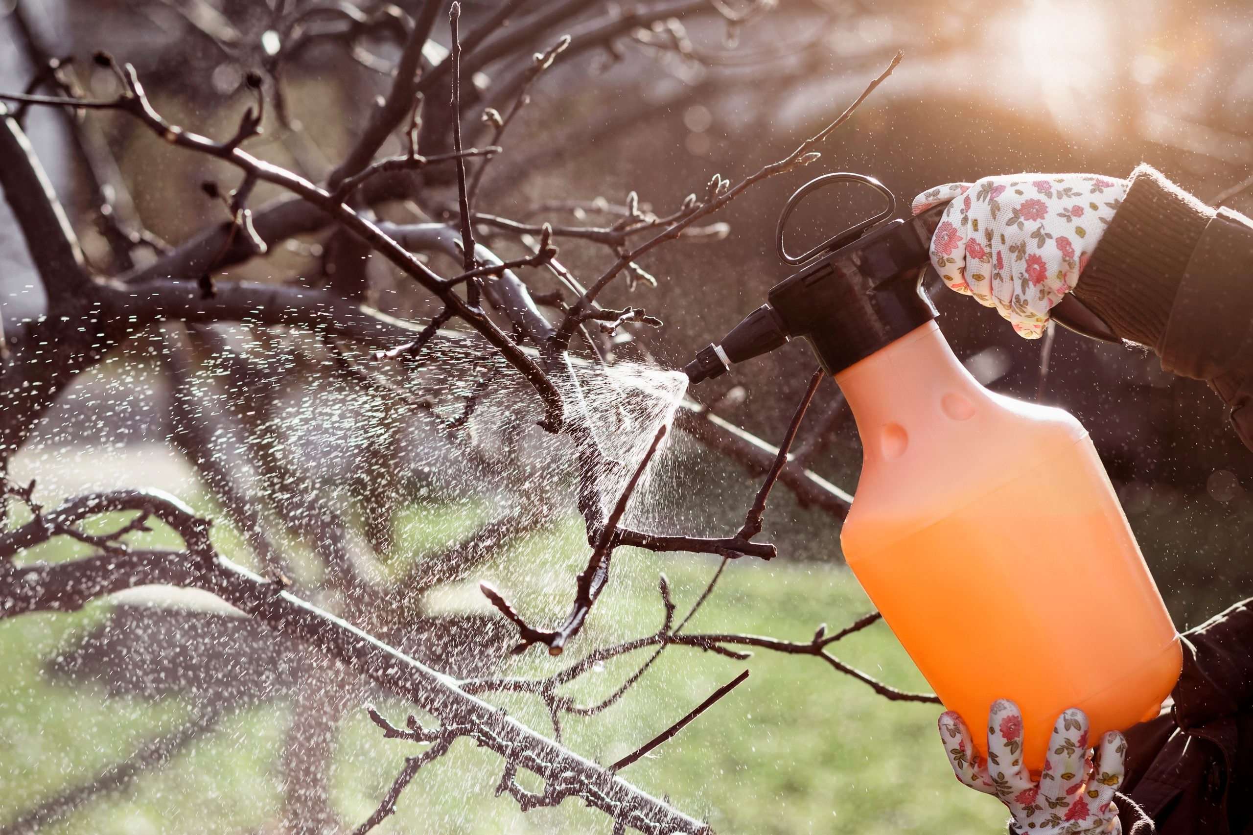 Előzzük meg a problémákat! MicrOil