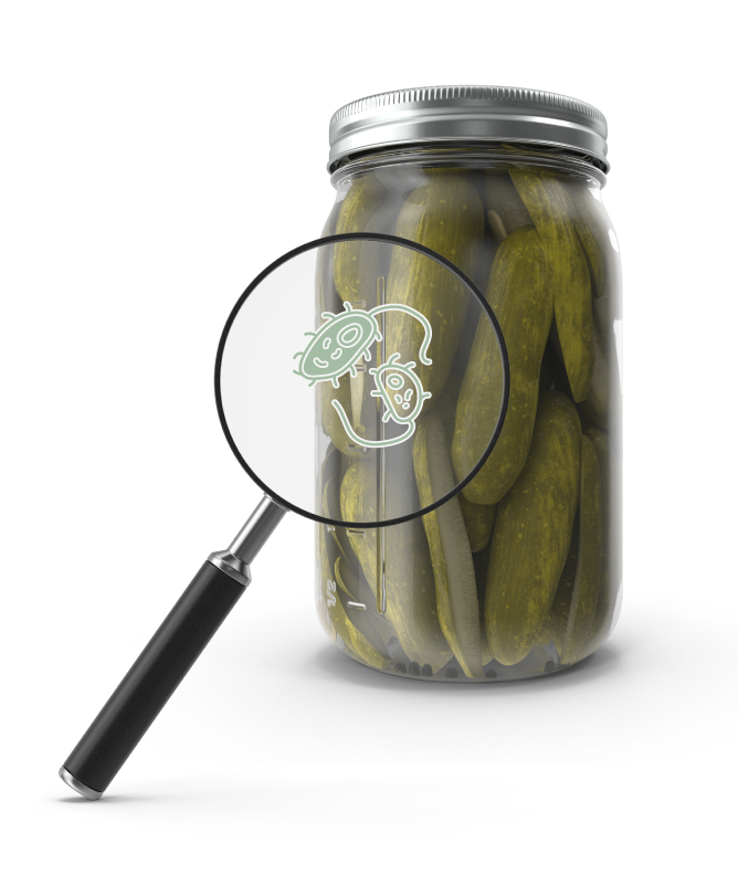 Fermentáció erjedés