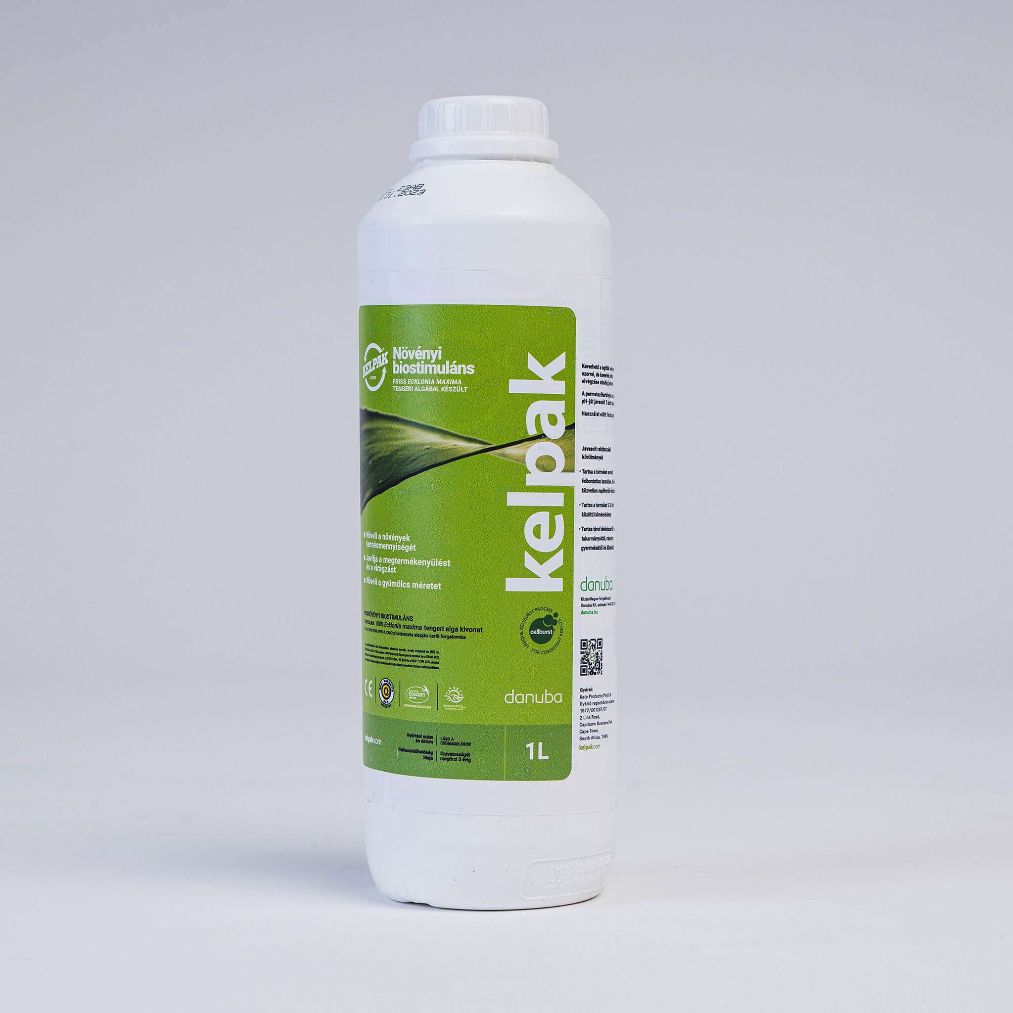 Kelpak Alga