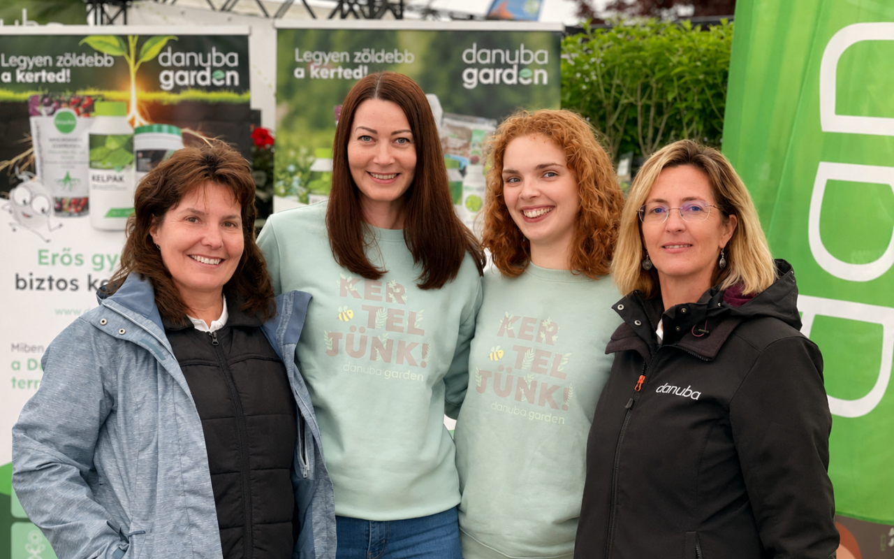 How the Garden Festival went: from soil testing to a successful garden