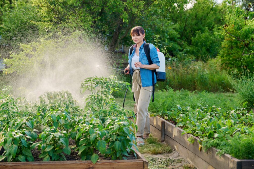 Spraying 10L woman