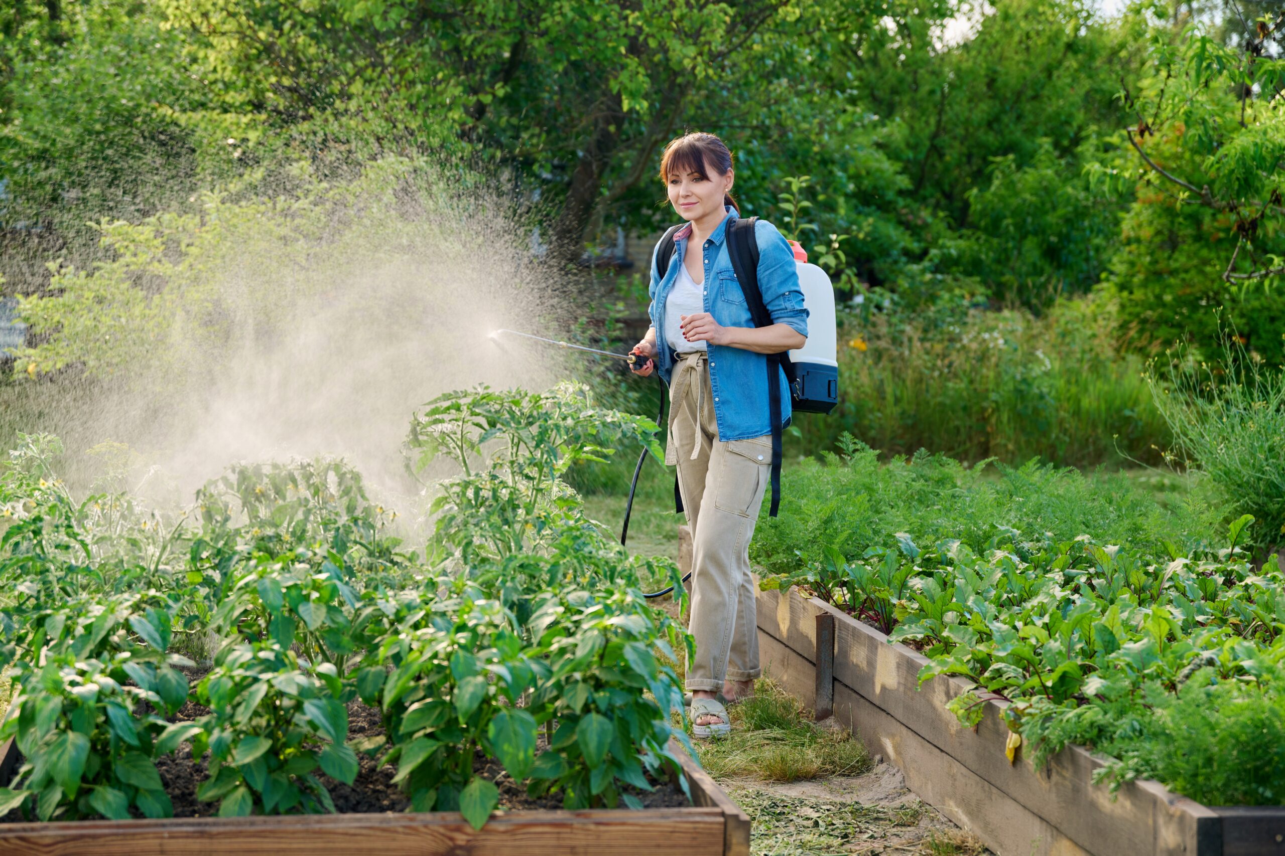 MicrOil - a biological solution to protect your plants