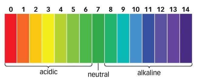 pH scale