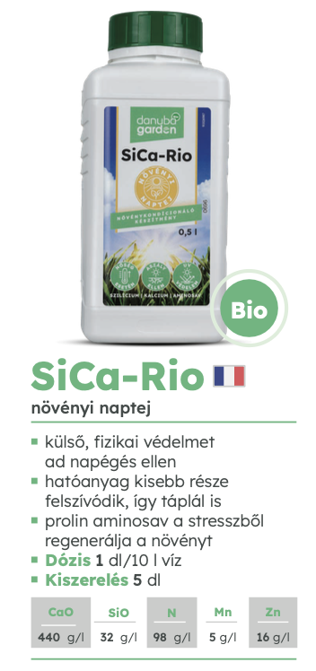 SiCa-Rio