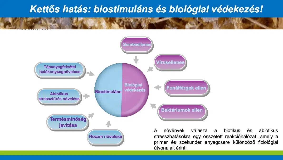Softguard Kettős Hatás